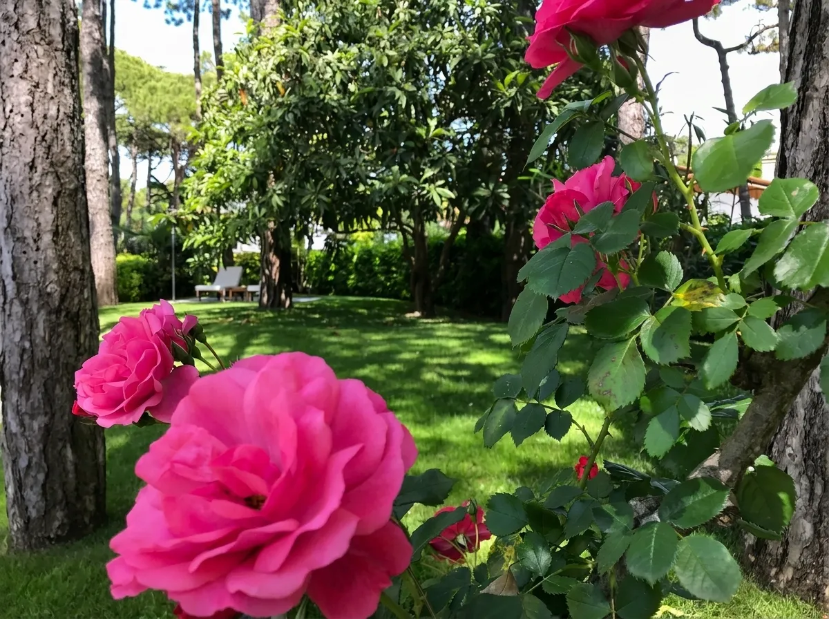 Gartenpfade 79